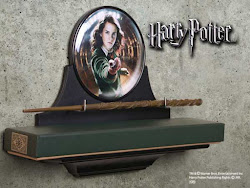 hermione wand granger display potter harry