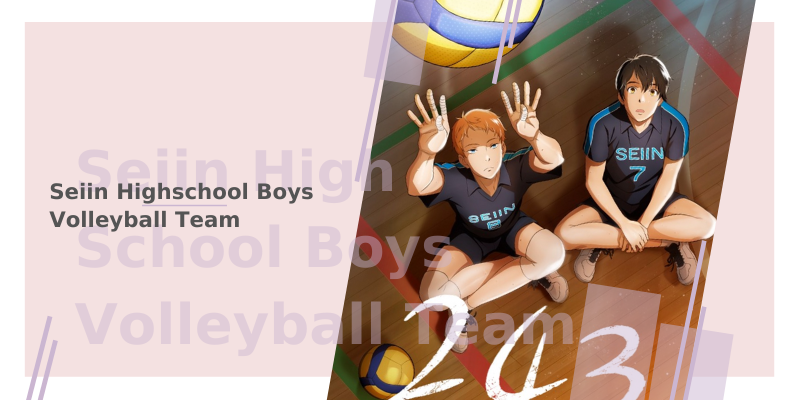 Sein Highschool Boys Volleyball Team