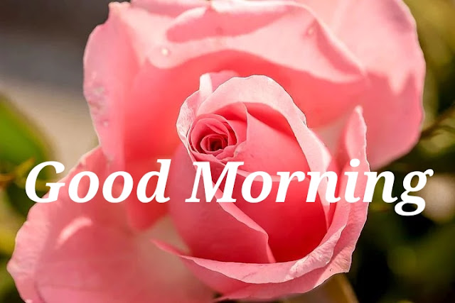 Good Morning. Good Morning.