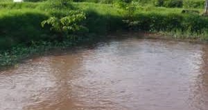 Arti Mimpi Melihat Meminum Atau Berendam Di Air Keruh