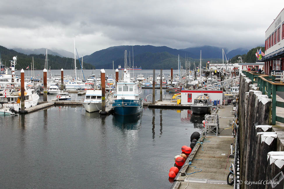 Photographie de la faune et Voyages Alaska 21 KITIMAT, PRINCE RUPERT