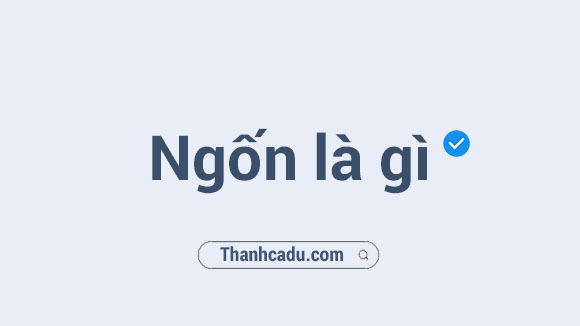 ngon nghia la gi,ngon la gi,tau bay la gi,choat la gi,loat choat la gi,op la gi,ngon tieng anh la gi,ngu ngon la gi,truyen ngu ngon la gi,banh ngon la gi,dau ngon tay giua la benh gi,dau ngon tay cai la benh gi,la lot lam gi ngon,an ko ngon mieng la benh gi,uong la gi de ngu ngon,la giang nau voi gi ngon,a ngon la gi,muc la lam gi ngon,muc la xao gi ngon