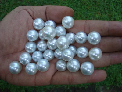 Loose South Sea Silver Pearls