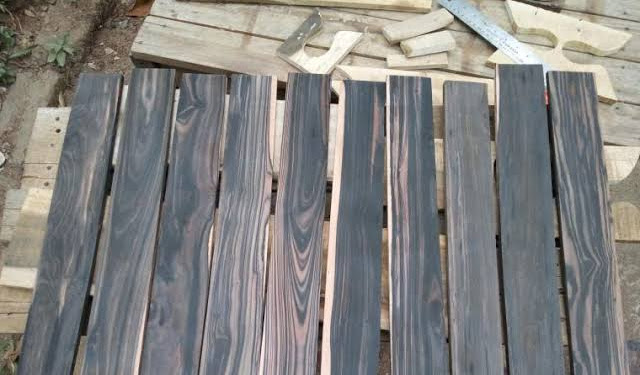 7 Jenis Kayu Termahal di Dunia 7 Jenis Kayu Termahal di Dunia