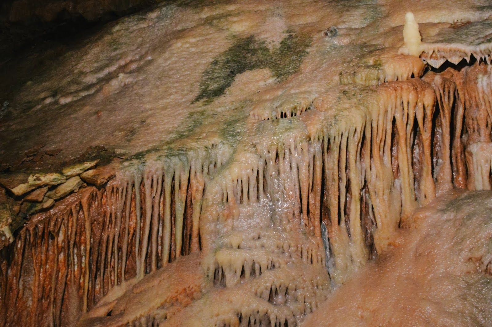 Places To Visit Gough's Cave & Cheddar Village