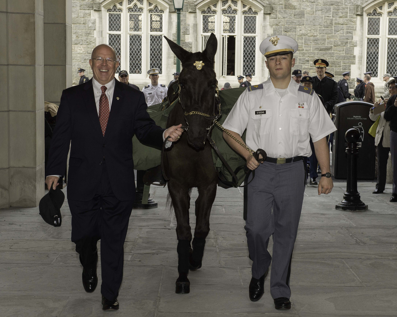 Horse Country Chic Meet Palladin, The Newest West Point Mule