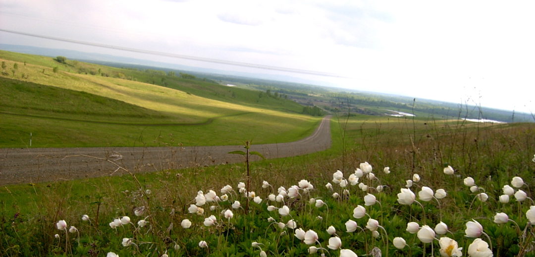 Река чебула Река чебула