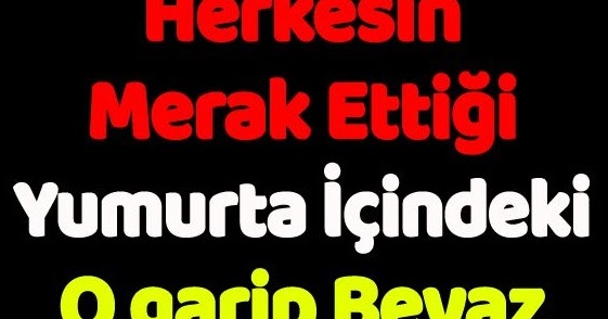 Herkesin Merak Ettiği Yumurta İçindeki O garip Beyaz Şey Nedir