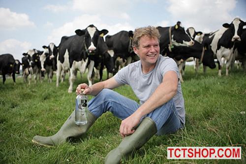 Rượu vodka chưng cất từ… sữa bò tươi Rượu vodka chưng cất từ… sữa bò tươi