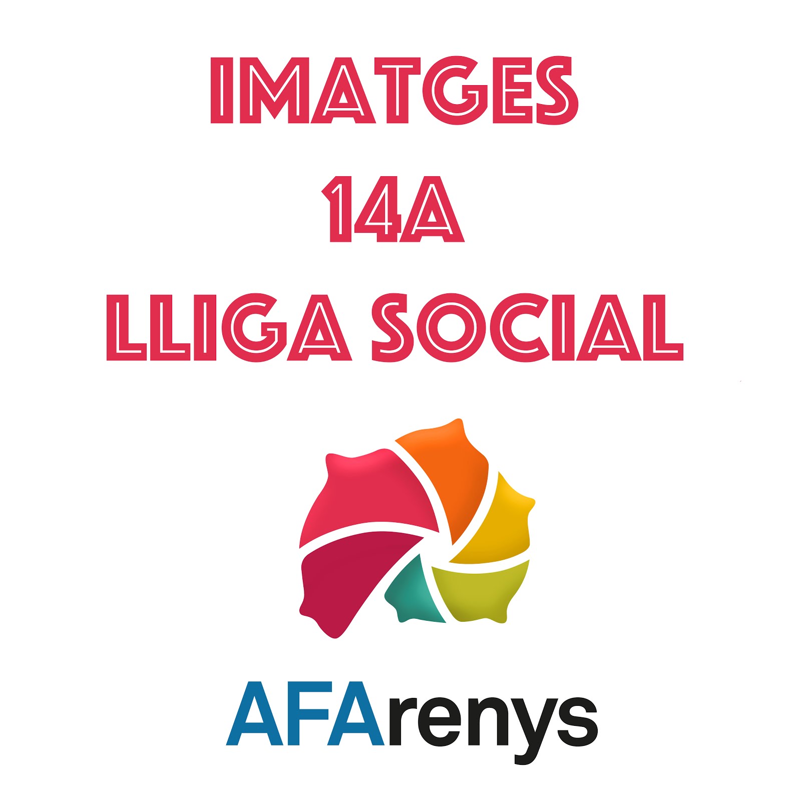 Imatges de la 14a Lliga