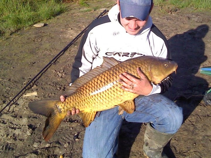March Fish of the Month Entry Common Carp
