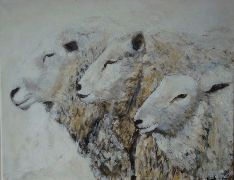 schapen-trio