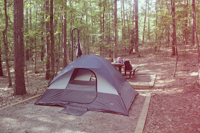 a dome tent in the woods