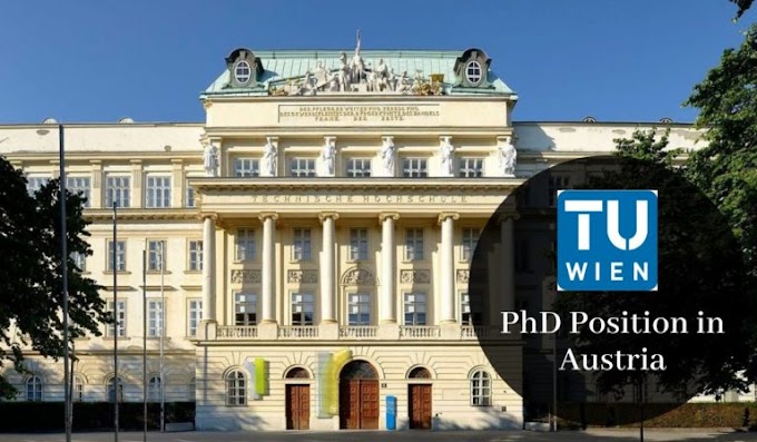 Daily Lazy Suspension At Kunstraum Am Schauplatz Wiener Art