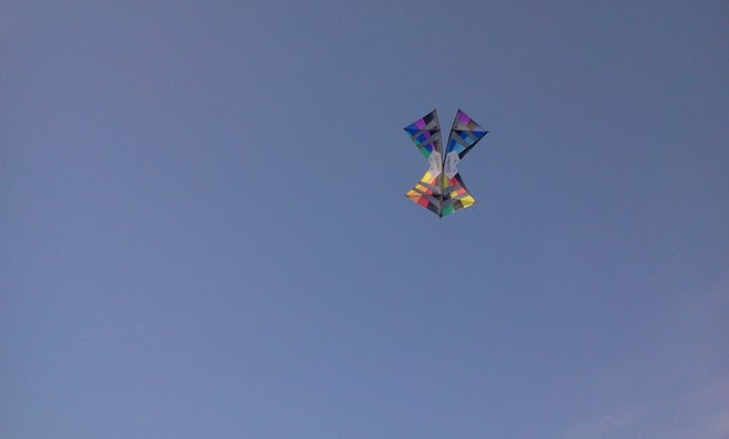 revolution kite