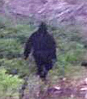 is this a real bigfoot