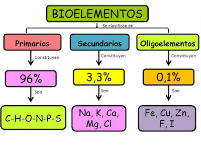 cuales son los bioelementos