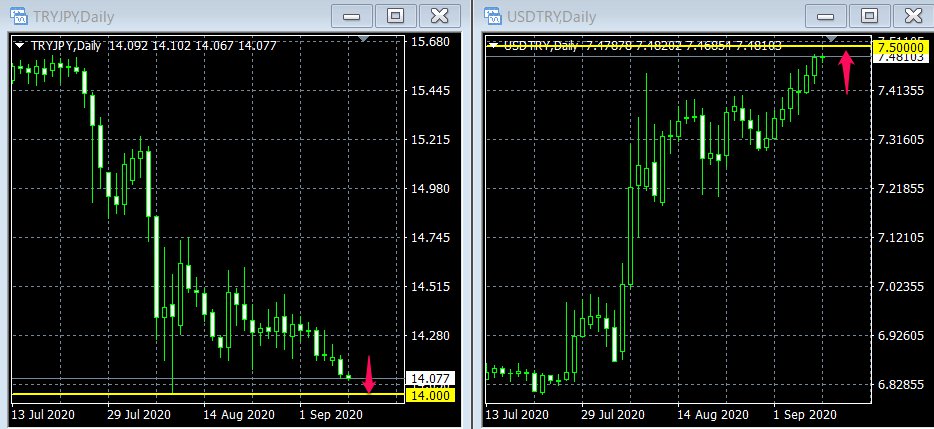 ジョン・カウチ・ターキー