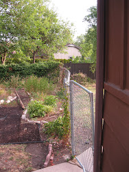 fence before on north side