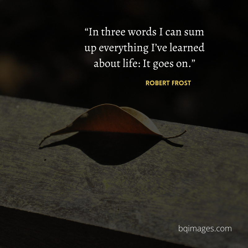 50+ Best Life Quotes In English for WhatsApp DP bqimages Beautiful