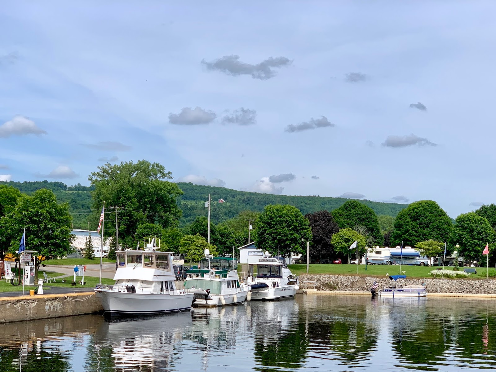 Sand Dollar St Johnsville, NY