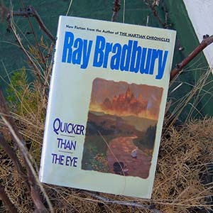 Tardes pasadas : Bradbury