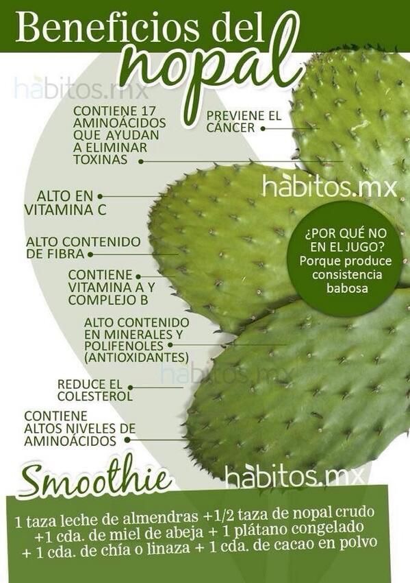 Infografias Beneficios del nopal o tunera