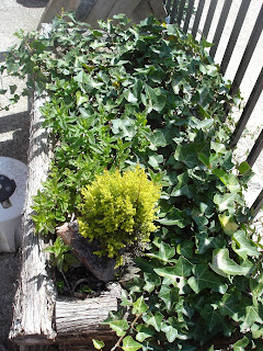 El jardín en macetas: La madera en el jardín