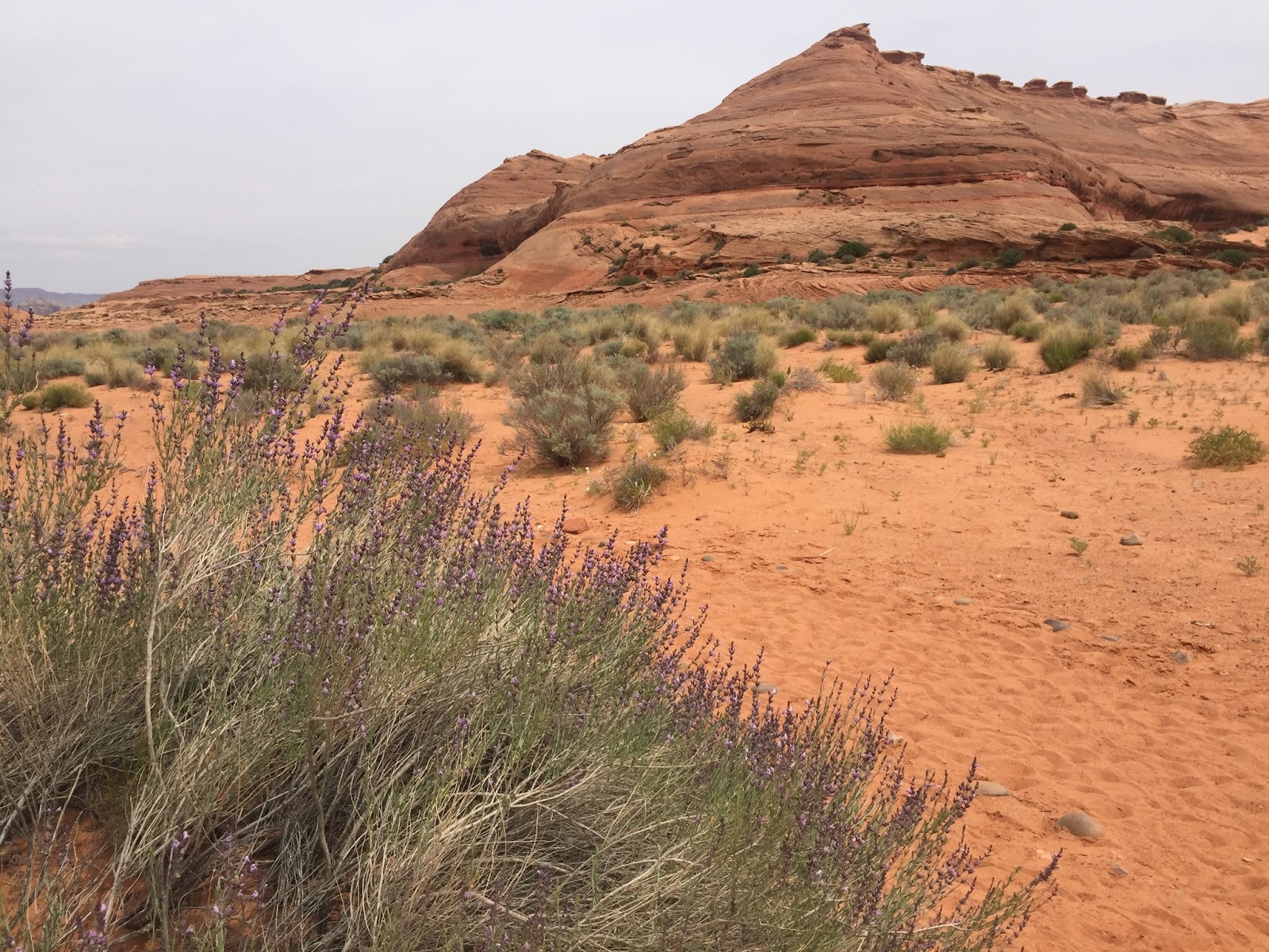 Three Hiking Sisters Hanging Garden