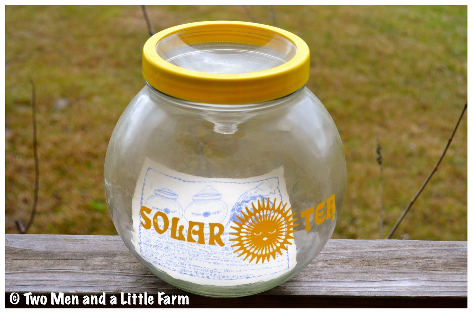 Two Men and a Little Farm SUN TEA JAR THRIFT STORE FIND