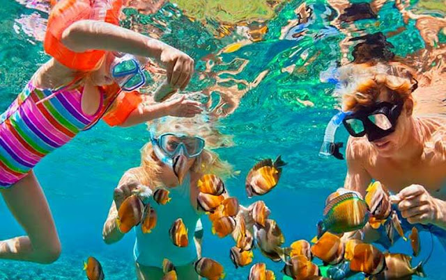 Snorkeling in Cabo