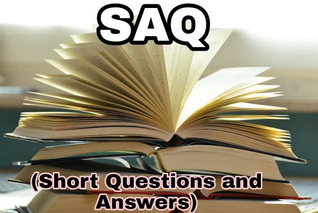 The Eyes Have It SAQ (Short Questions and Answers)