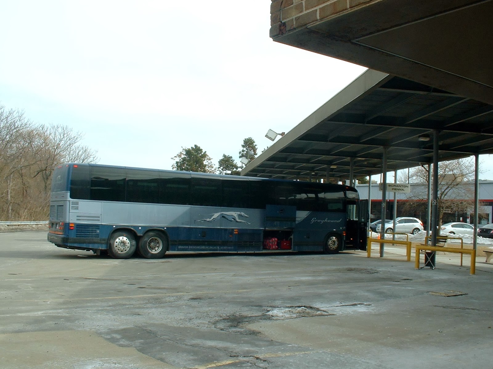 Frank's Place Go Greyhound