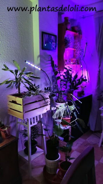 Luces De Crecimiento Para Plantas