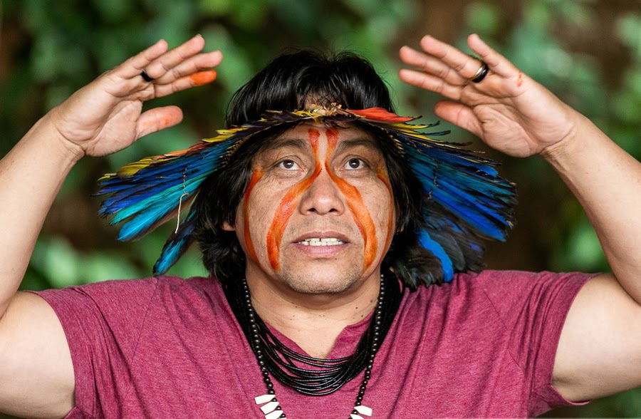 Rita Carelli: uma janela para a cultura Indígena através da literatura  infantil