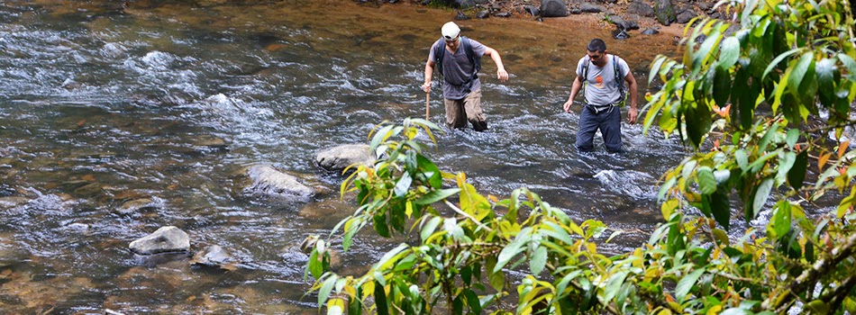 Mandalpatti trekking