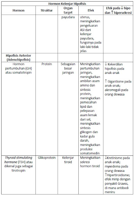 Daftar Hormon Hipofise, Struktur dan Efek Yang Ditimbulkan.