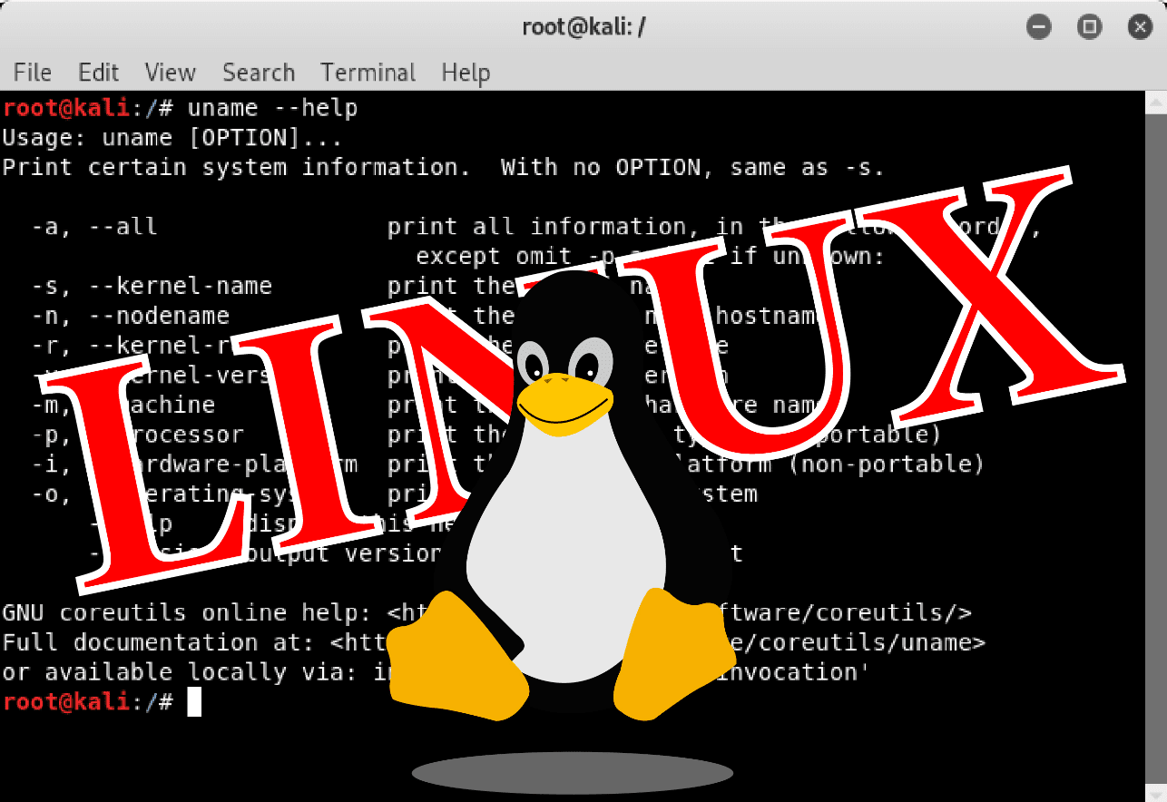 Root kali. Root Linux. Root~@kali предложения. Foremost Linux.