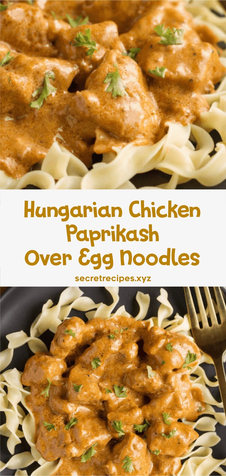 Hungarian Chicken Paprikash Over Egg Noodles Recipe Spesial Food