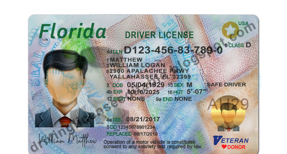 Florida Drivers License PSD Template US Novelty Drivers License Templates