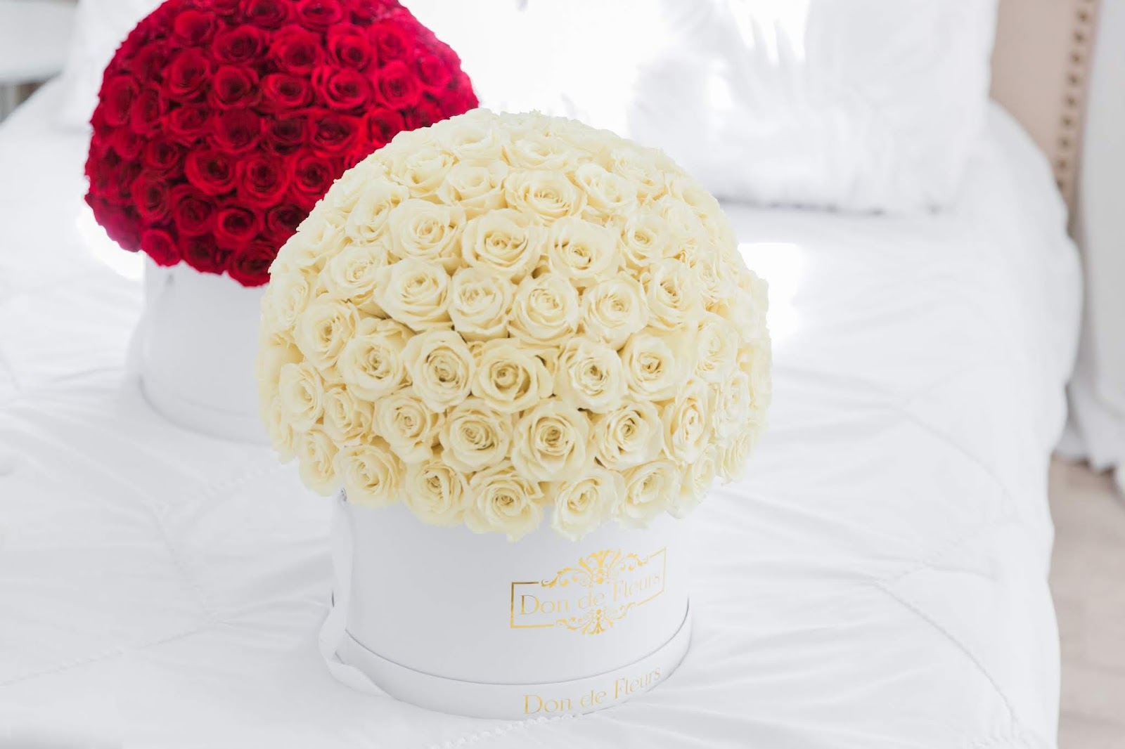 Real Preserved Luxury Roses Benefits of Same Day Flower Delivery