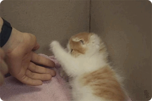 드...드라마 타인은 지옥이다 유...유일한 힐링장면이네요오오오ㅗㅇ 풉킼키키킼ㅋ킼ㅋㅋㅋㅋ킼.gif | 인스티즈