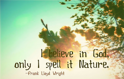 Girl with the Quixote Curse!: In her depth, I found peace....