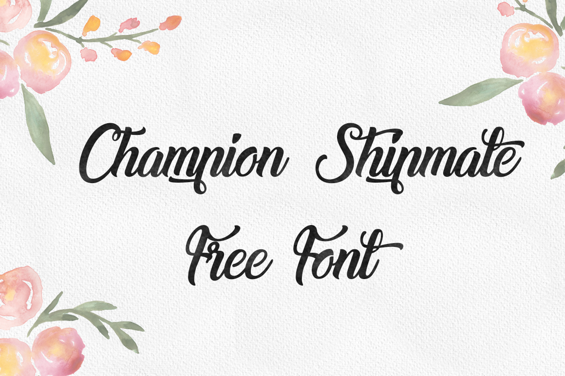 DLOLLEYS HELP Champion Shipmate Free Font