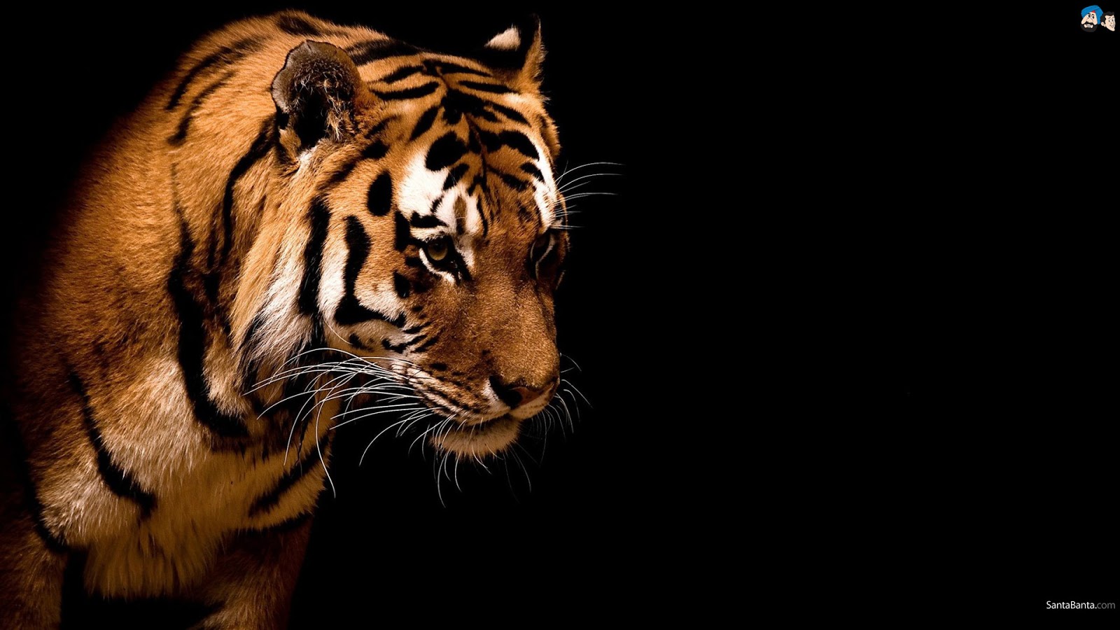 Email This BlogThis! Share to Twitter Share to Facebook