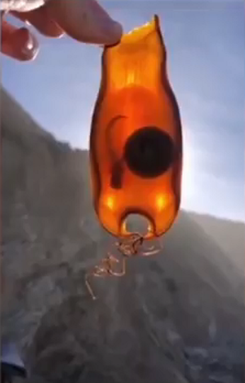 くりぷと 世界の奇妙な住人たち サメの子が入った人魚の財布