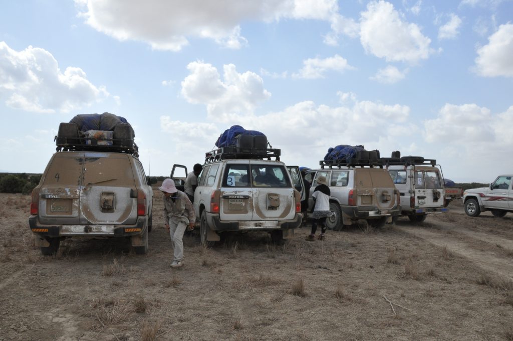 Ethiopia Car Rental Company Provides The Best Rental Services For Your Trip