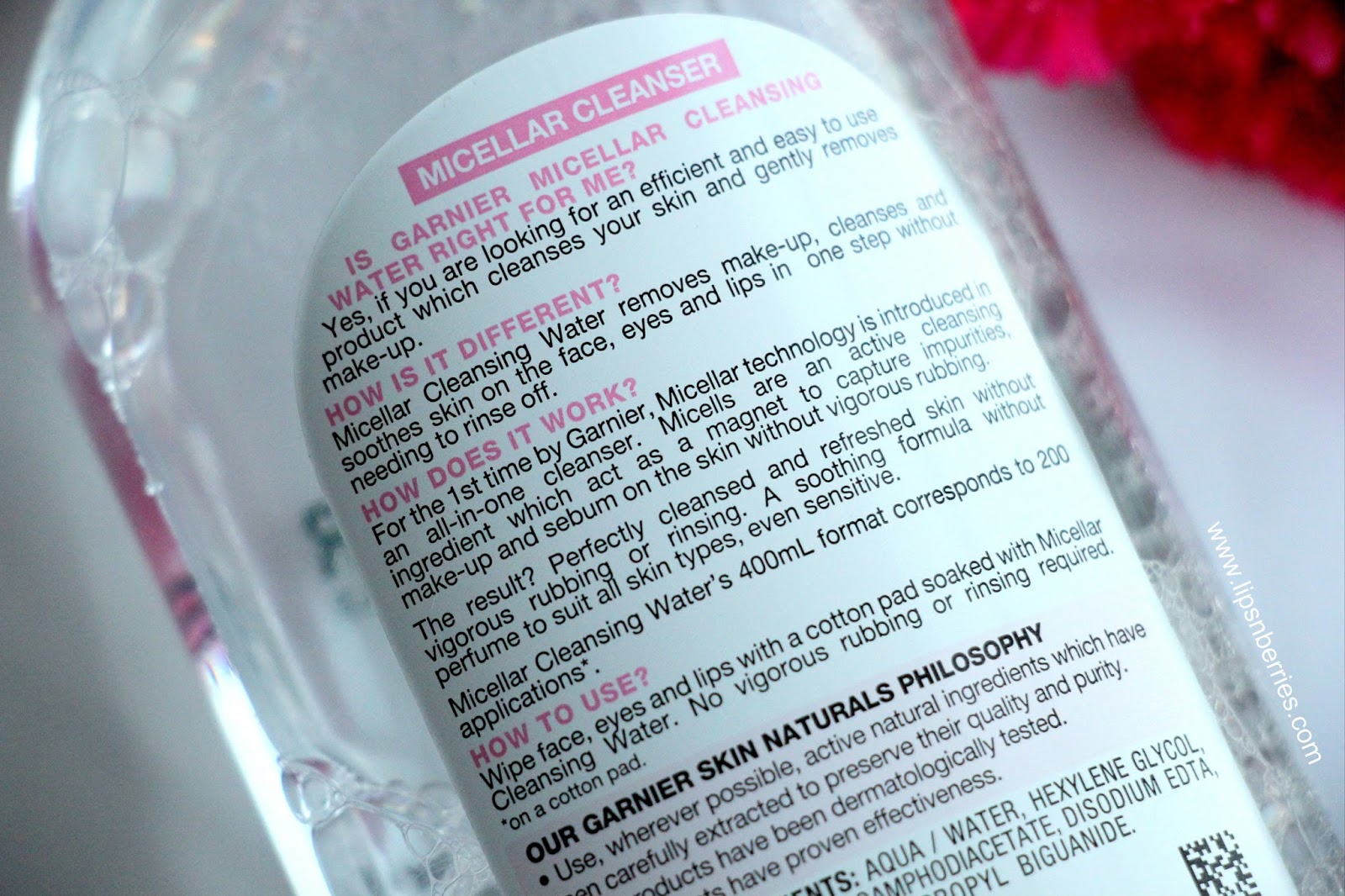 Garnier Micellar Cleansing Water Review! LIPS n BERRIES