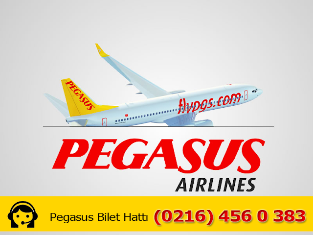 Pegasus Yurtdışı Bilet Hattı