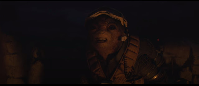 353 Spider Man Into The Spider Verse Hd Wallpapers Background